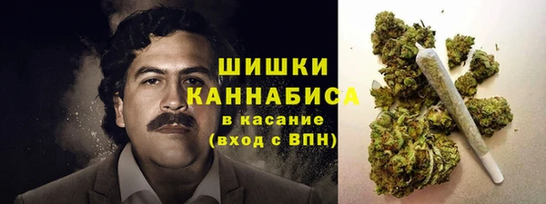 spice Алзамай