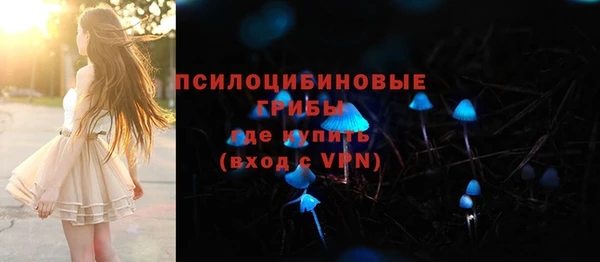 spice Алзамай