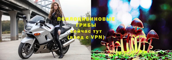 spice Алзамай