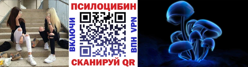где найти   Сельцо  mega tor  Галлюциногенные грибы Psilocybe 